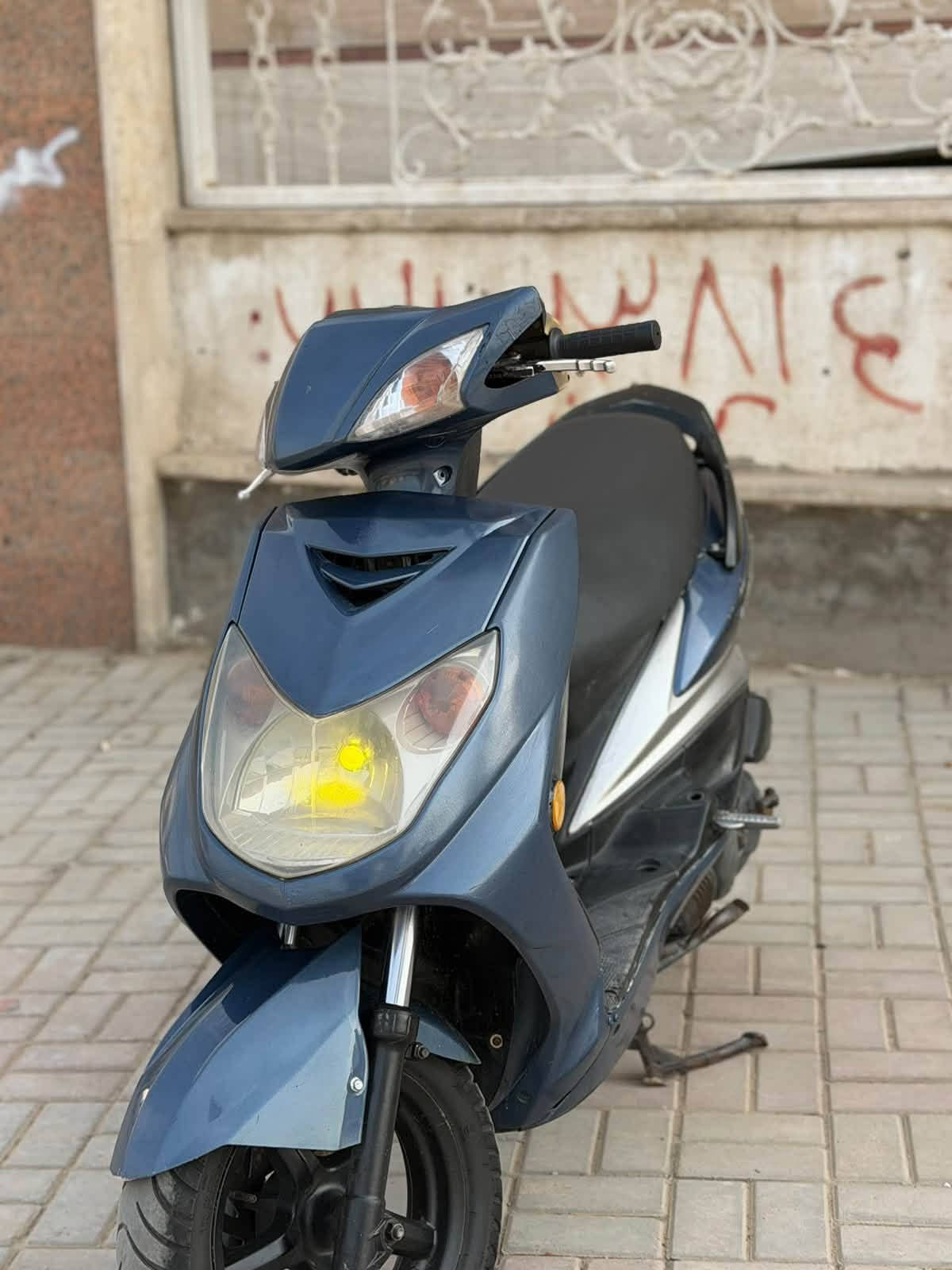 سكنس فحل • جديده • مكفوله