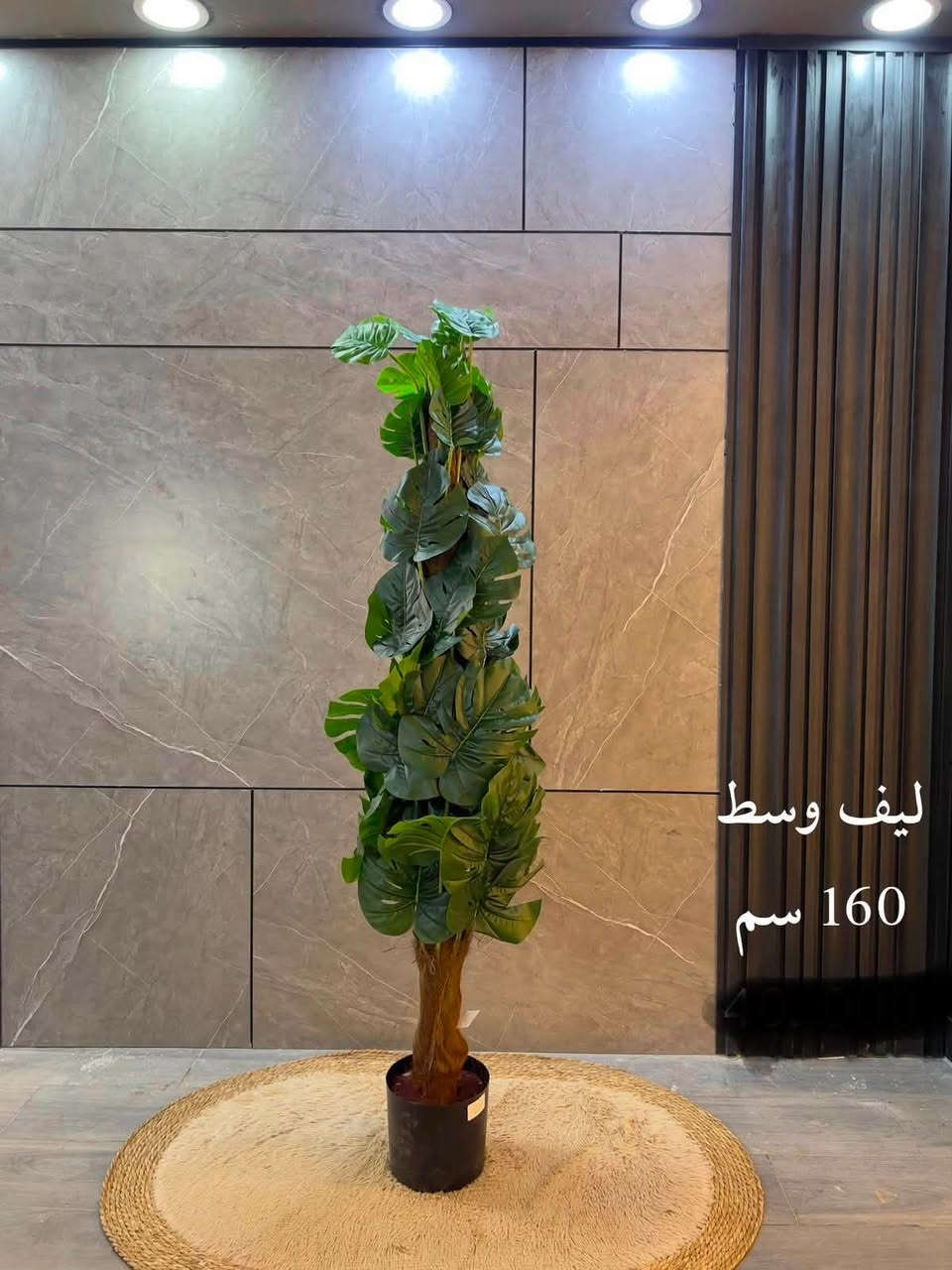 ☘️ لأن الذوق ينعكس في التفاصيل…
وفرنا لكم أجمل النباتات الصناعية بتصاميم واقعية تضيف لمسة فخامة للمنازل، المكاتب، الكافيهات، والمحلات

📍 متوفر لدينا عدة موديلات وأحجام.
📩 للاستفسار والأسعار، راسلنا على الخاص أو زوروا معرض النرجس للأصباغ والديكورات والإنارة الحديثة. 

لا تترددوا بالتواصل معنا، فريقنا جاهز لمساعدتكم واختيار النبات المناسب لديكور منزلكم أو مشروعكم.
📞 للاتصال: ***********
