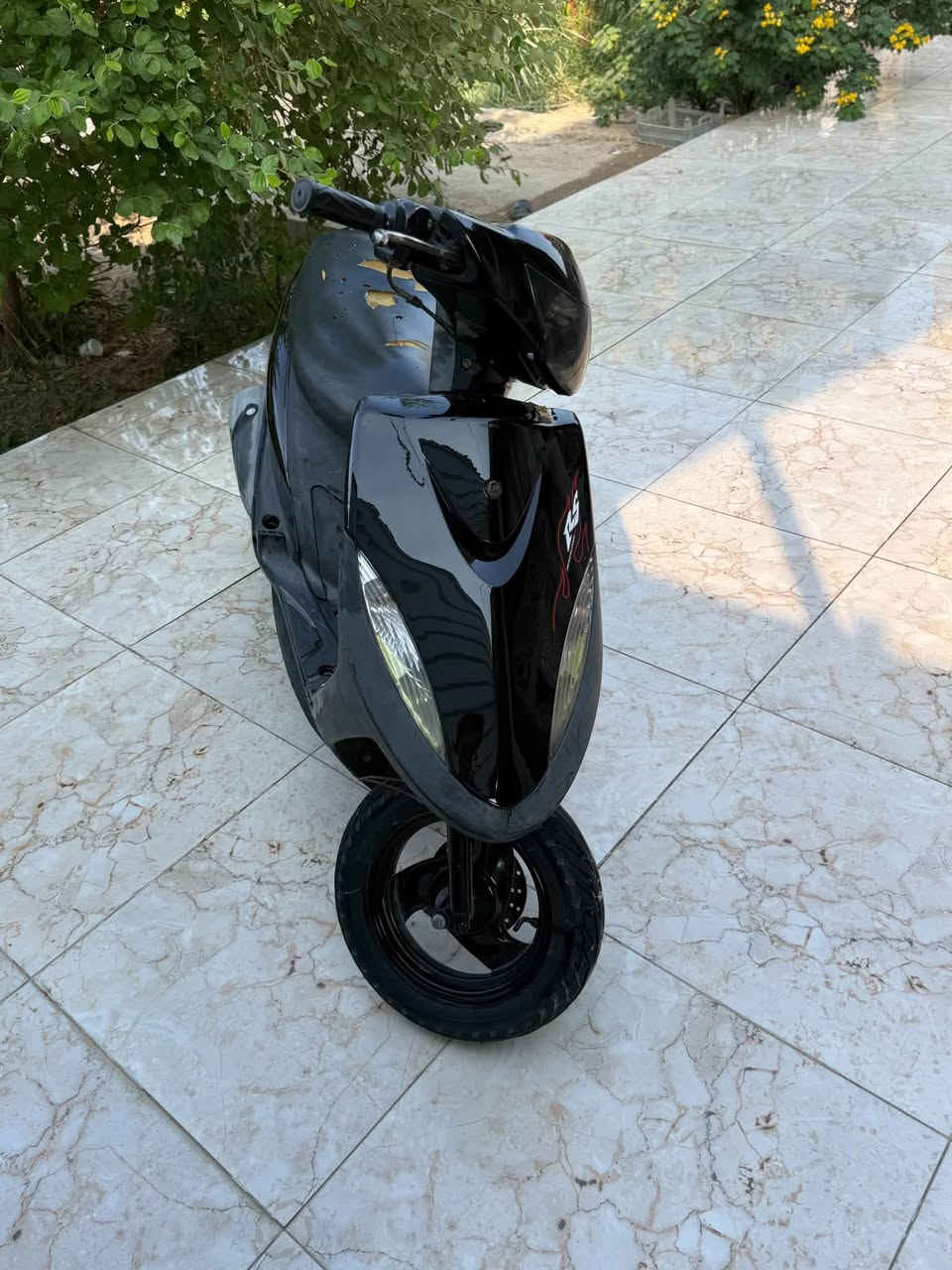 ماكس عدلة • بلاد٤٩ • بصره