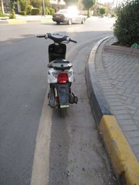عصفورية • سلف شغاله • هندل شغاله