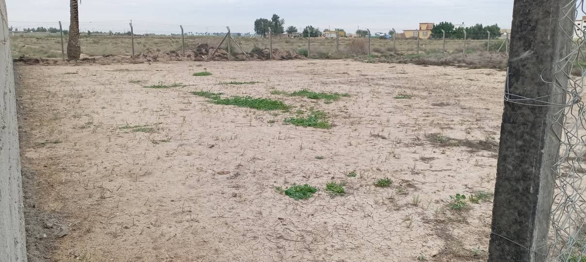 سلام عليكم قطعة ارض للبيع مساحه 500 متر زراعي سند 117مكان واسط العزيزية مقابل معمل السوس مجاور الشقق السكنيه للستفسار الانتصال على رقم الهاتف ***********
