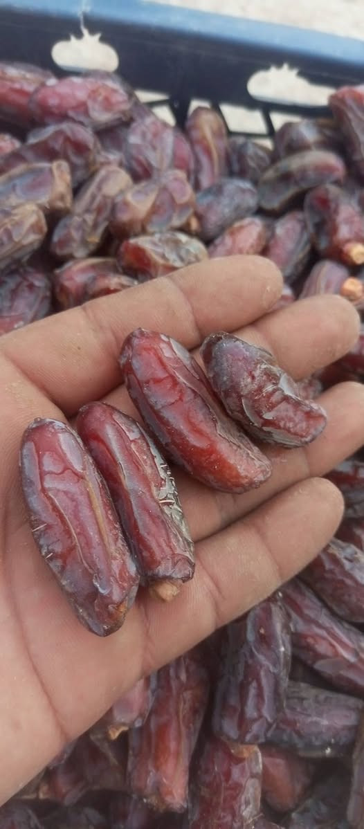 تمر • بلكه فل • درجة أولى