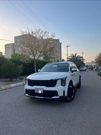 سورنتو • ٢٠٢٤ • رقم اربيل