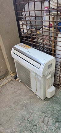 سبلت • توسوت • شغال