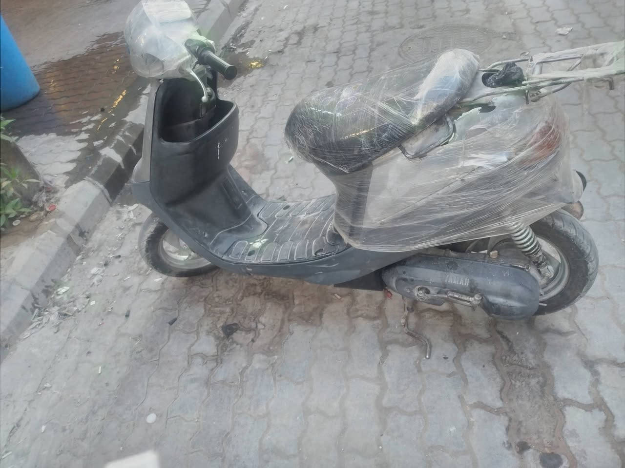 بطة • نضيف • خدمية