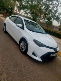 كورلا • ٢٠١٩ • رقم اربيل