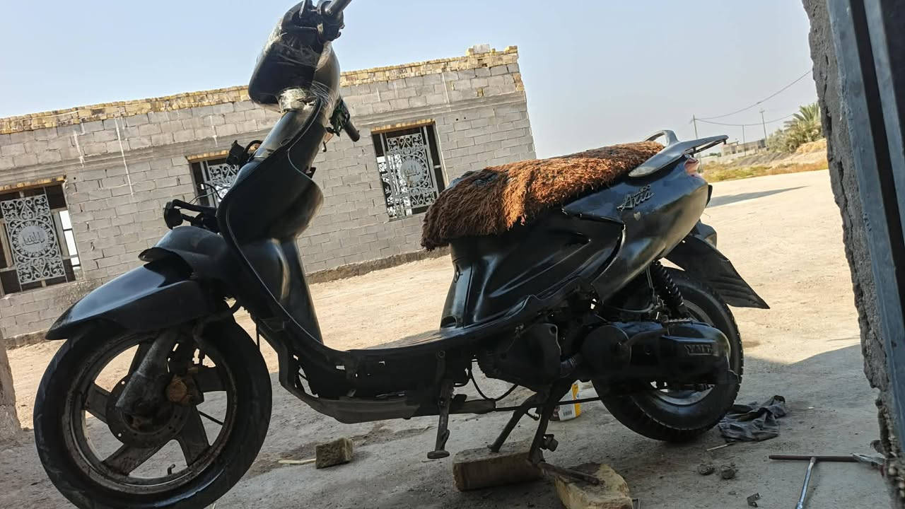 دولفين • شغاله • مامفتوح