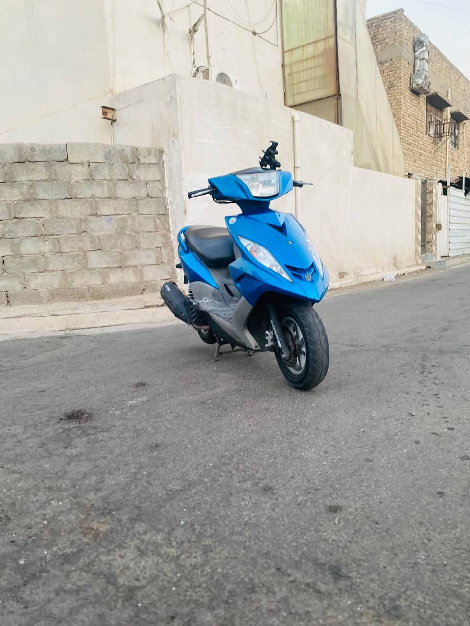 جي تي ار • جديدة • كفالة