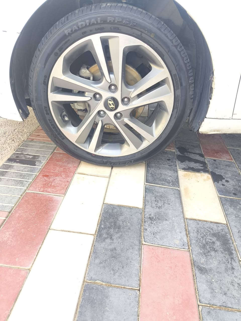 تخم كامل • سعر خاص