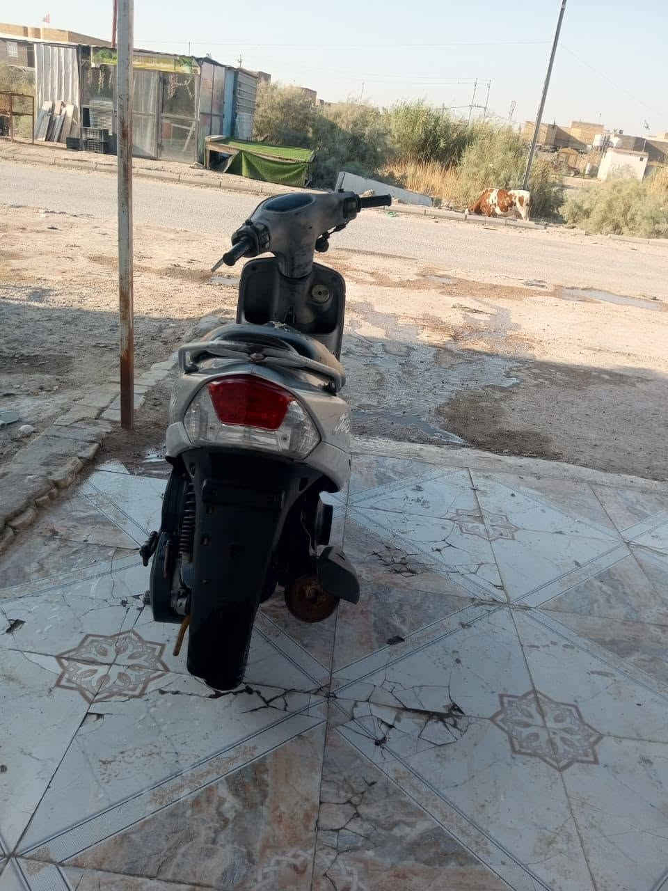 دراجه ماكس صالي شهر من مخذه حويه دراجه بلكرتون مكاني سماوه جربوعيه الثانيه  تفاصيل الباقيه اتصل وتدلل***********
