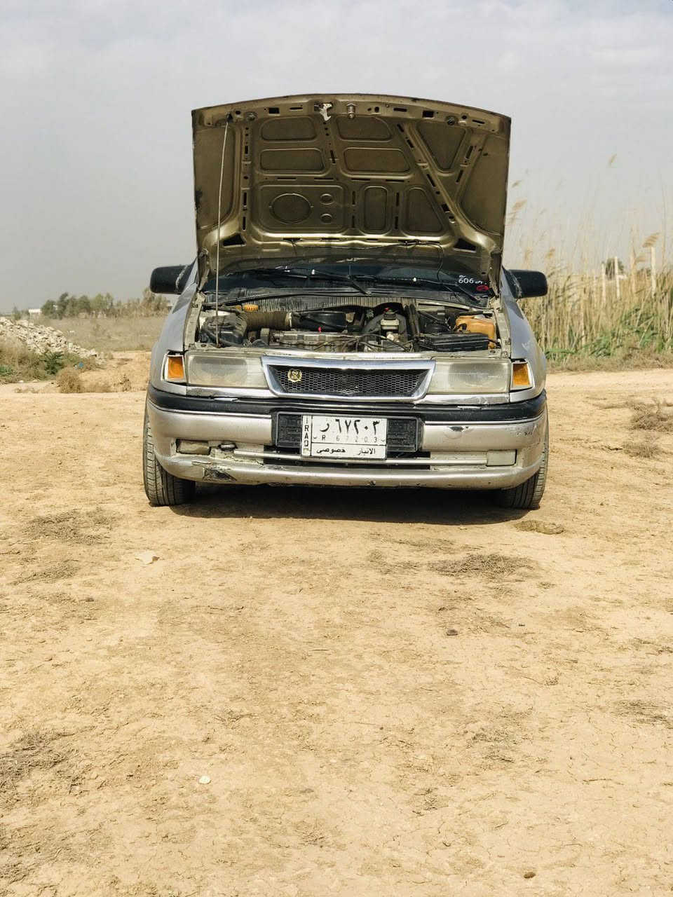 ١٩٩٣ • صبغ عام • صدر تعبان