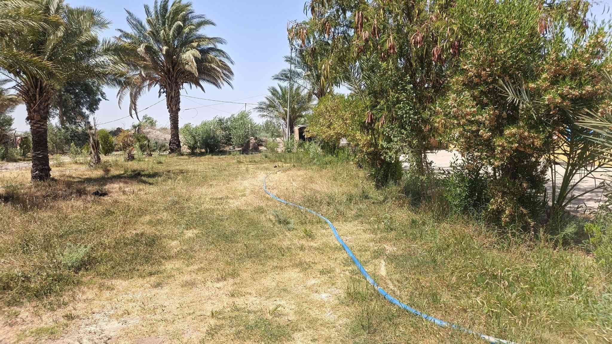 ٥ دونم • طريق دجيلي • حديقة ٦٠٠م