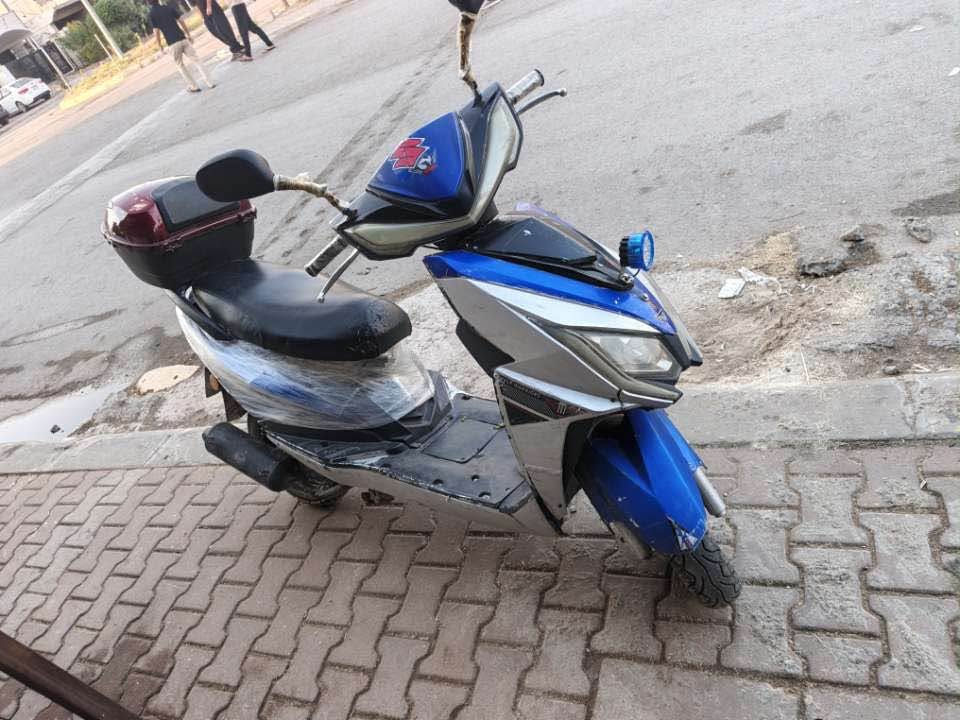 ماکس بینو • مزبوت • شغال