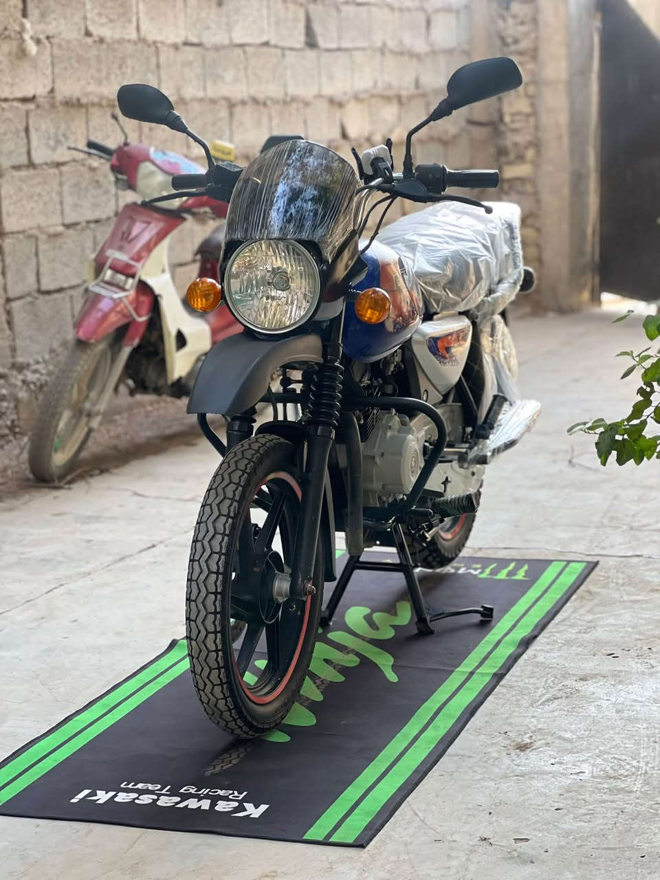 بوكسر جبلي • ٢٠٢٣ • اوراق