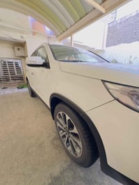 شكل 15 • ٧ راكب • رقم اربيل