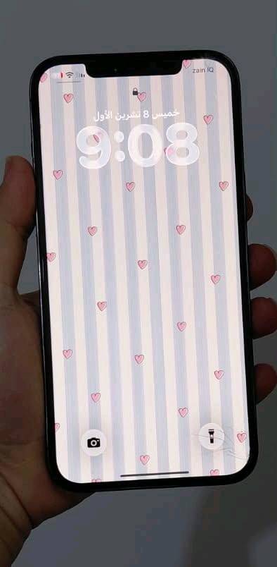 ايفون ١٢ برو ماكس • ٢٥٦ • ظهر مكسور