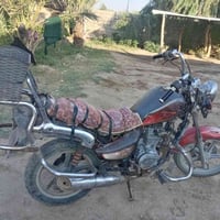 دانيل • شغاله • بدون أوراق