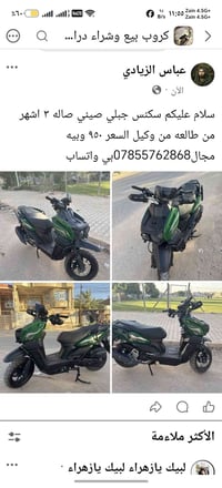 سكنس جبلي • صيني • من وكيل