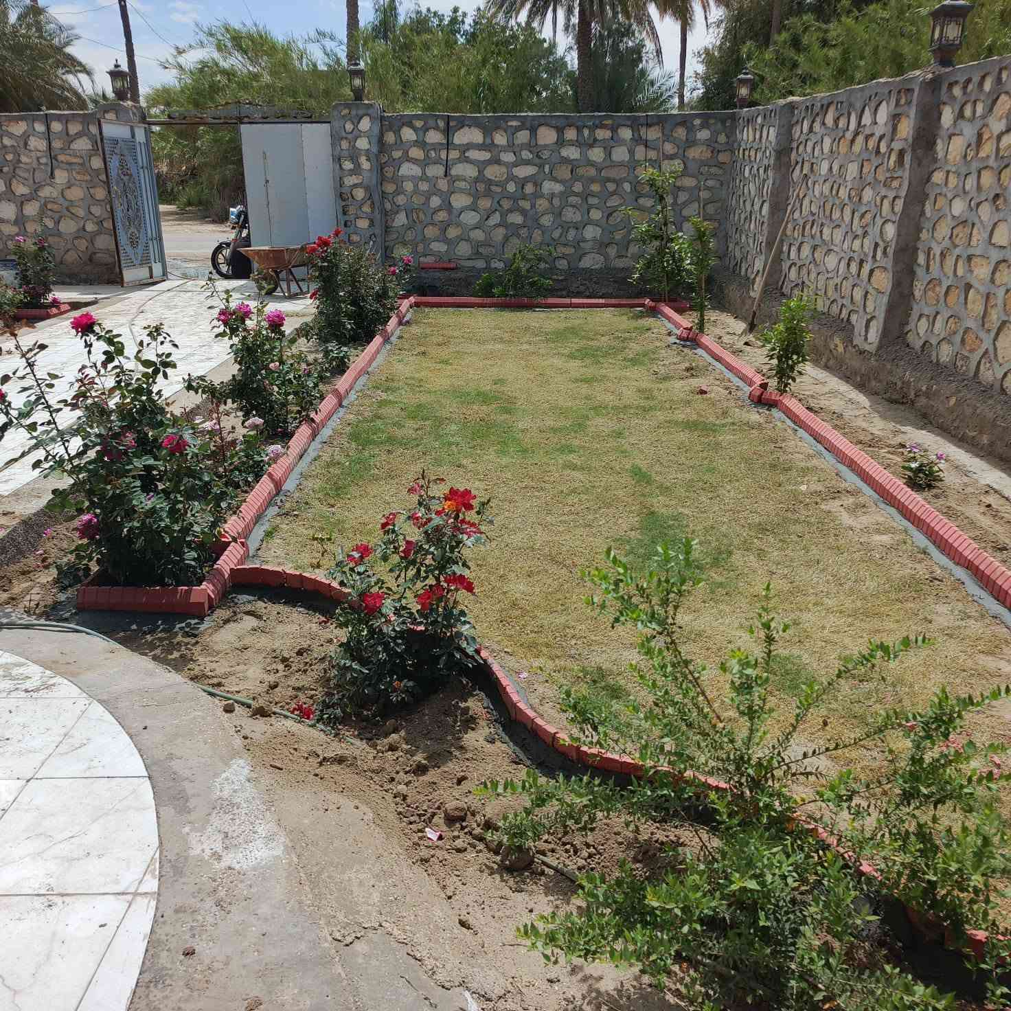 هندسة حدائق • زراعة ثيل ونخيل • قص أشجار
