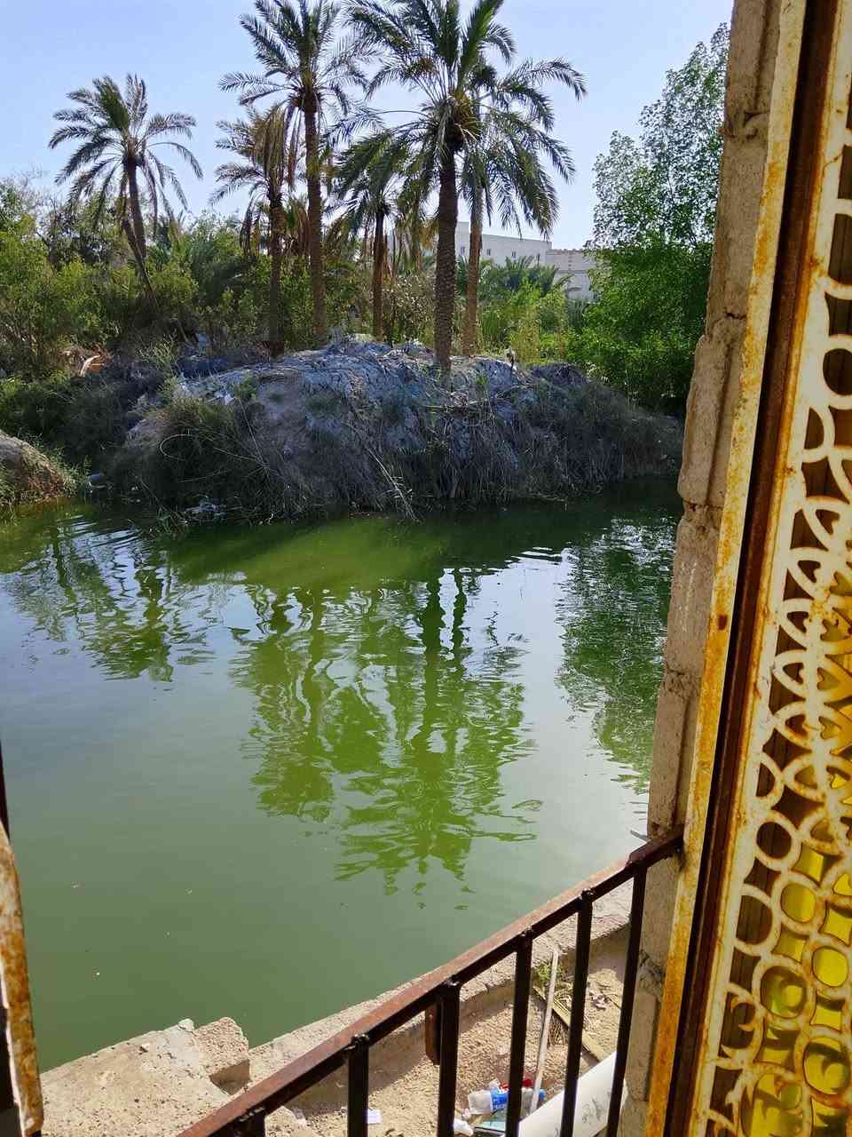 البيت للبيع
الموقع ابي الخصيب شارع ابو كوصره مقابل مدرسة 🏫 تدمر مباشرتاً طابو زراعي عراقي مساحة 210 متر يتكون من غرف 2 قياس 5في4 وديوان 6في4 مطبخ 5في4 صاله 8في4 صحيات داخليه وخارجيه كراج سياره وبضهر البيت نهر جاري السعر 105 بي مجال 
للتواصل *********** 
موقع البيت منتاز
