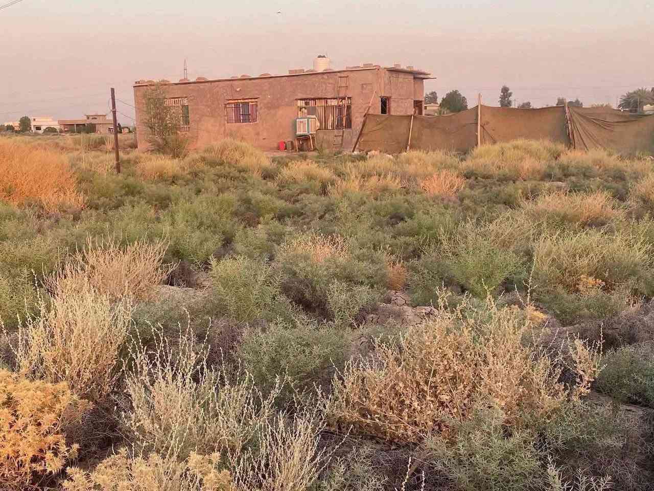 دونم مع منزل يتحول باسمك على طابو المحموديه
السعر/  55  مليون  

دونم مع منزل طابو زراعي سند ٢٥ مخدوم بالكامل  يقع بغداد اتجاه سريع الجديد ناحية الرشيد  جاهز للسكن او الاستثمار او مخازن 

المساحة /  دونم مساحته 2500 متر  

 للاستفسار    ***********
