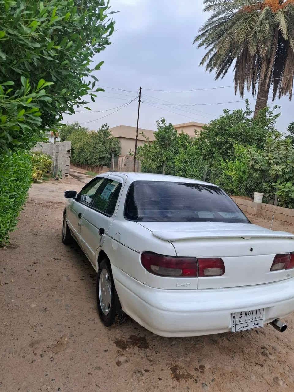 سيفيه ٩٥ • مكفولة • ناحية يثرب