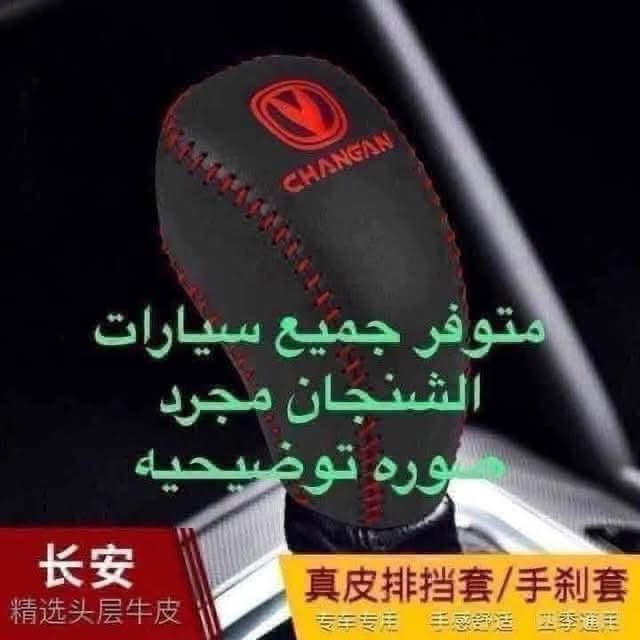 شنجان • غطاء دشبول • استيرن أصلي