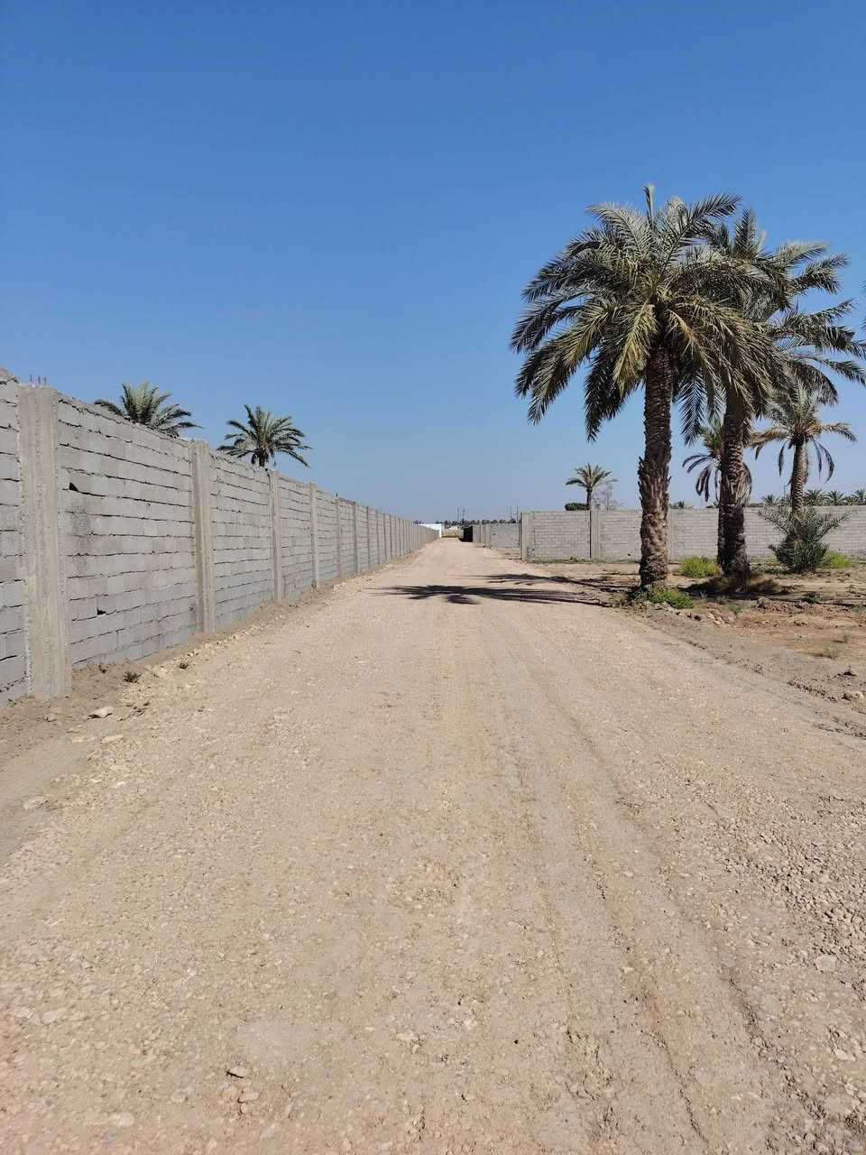 سلام عليكم يوجد لدينه قطعه أرض طابو ملك صرف المساحه ٥ دونم الواجها الواحد ٥٠ في ٥٠ تباع حسب طلب دونم فما فوق صاير عله شارعين تبليط وسبيس كامله الخدمات العنوان بغداد اليوسفيه بئر الحمام شارع الأول خلف البانزيخانه بئر الحمام الاستفسار
***********
***********
