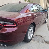 ماروني • بدون ايرباك • البصرة