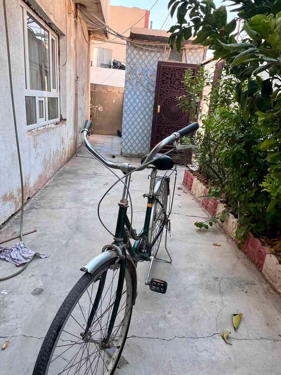 السلام عليكم
بايسكل يابان نضيف شخط مابي بس التاير الورة بنجر 
ع سكاطو ابيعو شخط مابي حجم 26 
مستعجل ع بيعتو 
السعر 75 بي مجال
للتواصل ع هذا الرقم
***********@
