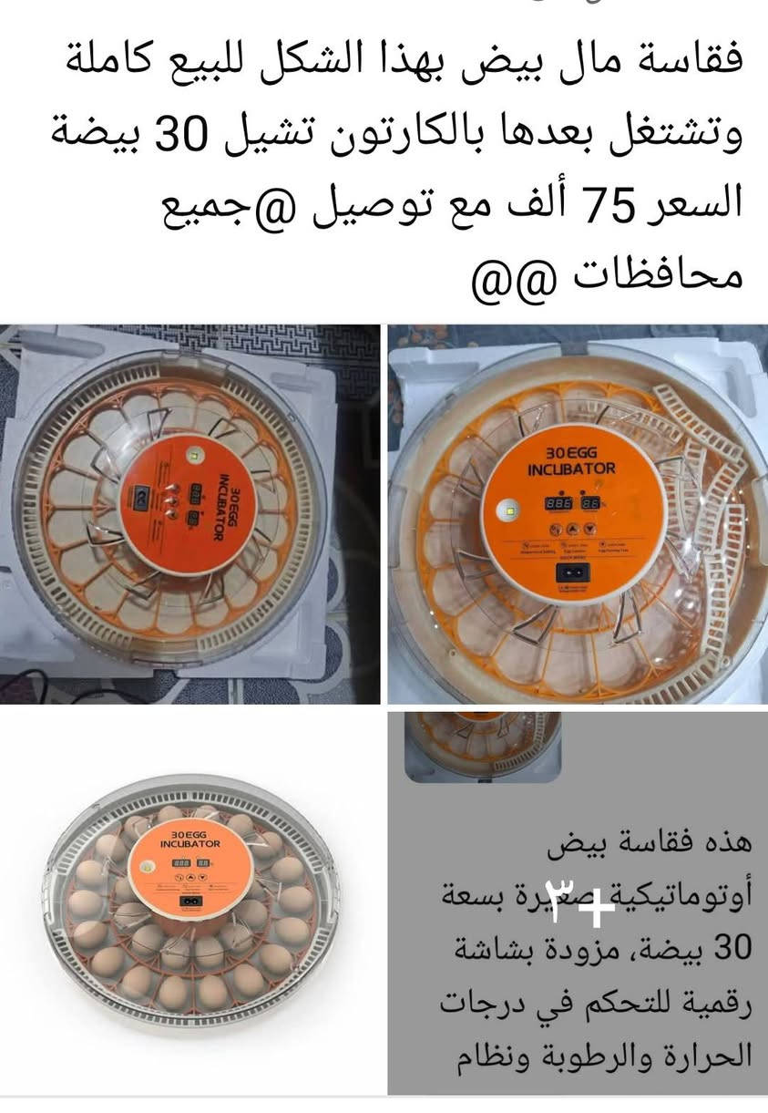 لا توجد تفاصيل

نص مكتوب في الصور:
- فقاسة مال بيض بهذا الشكل للبيع كاملة وتشتغل بعدها بالكرتون تشيل 30 بيضة السعر 75 ألف مع توصيل @جميع محافظات @@ هذه فقاسة بيض أوتوماتيكية صغيرة بسعة 30 بيضة، مزودة بشاشة رقمية للتحكم في درجات الحرارة والرطوبة ونظام