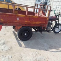 ستوته • مكفوله • تواير جديده