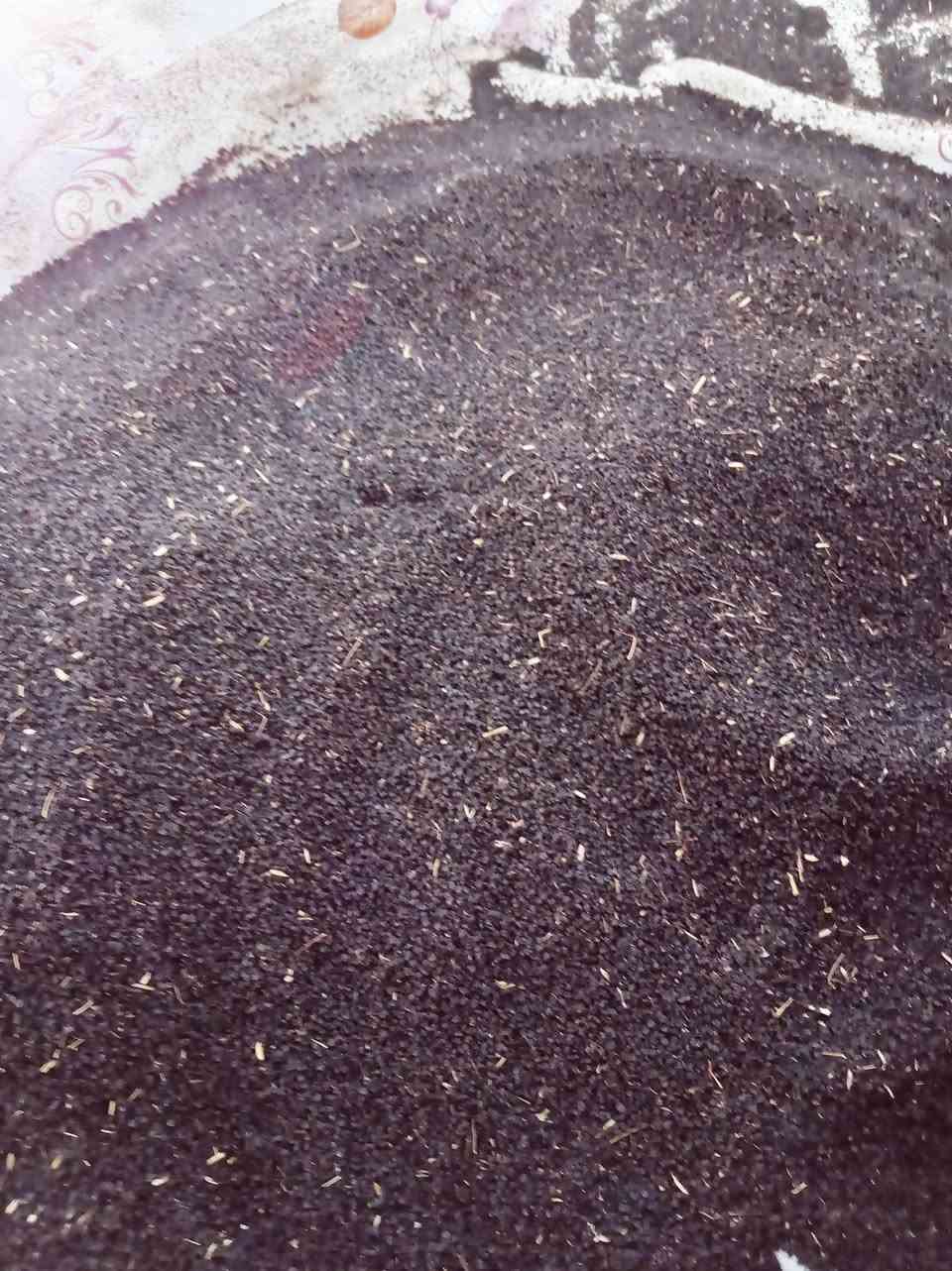 بزر سواد درجة والالى
مكان بابل الكفل
***********
