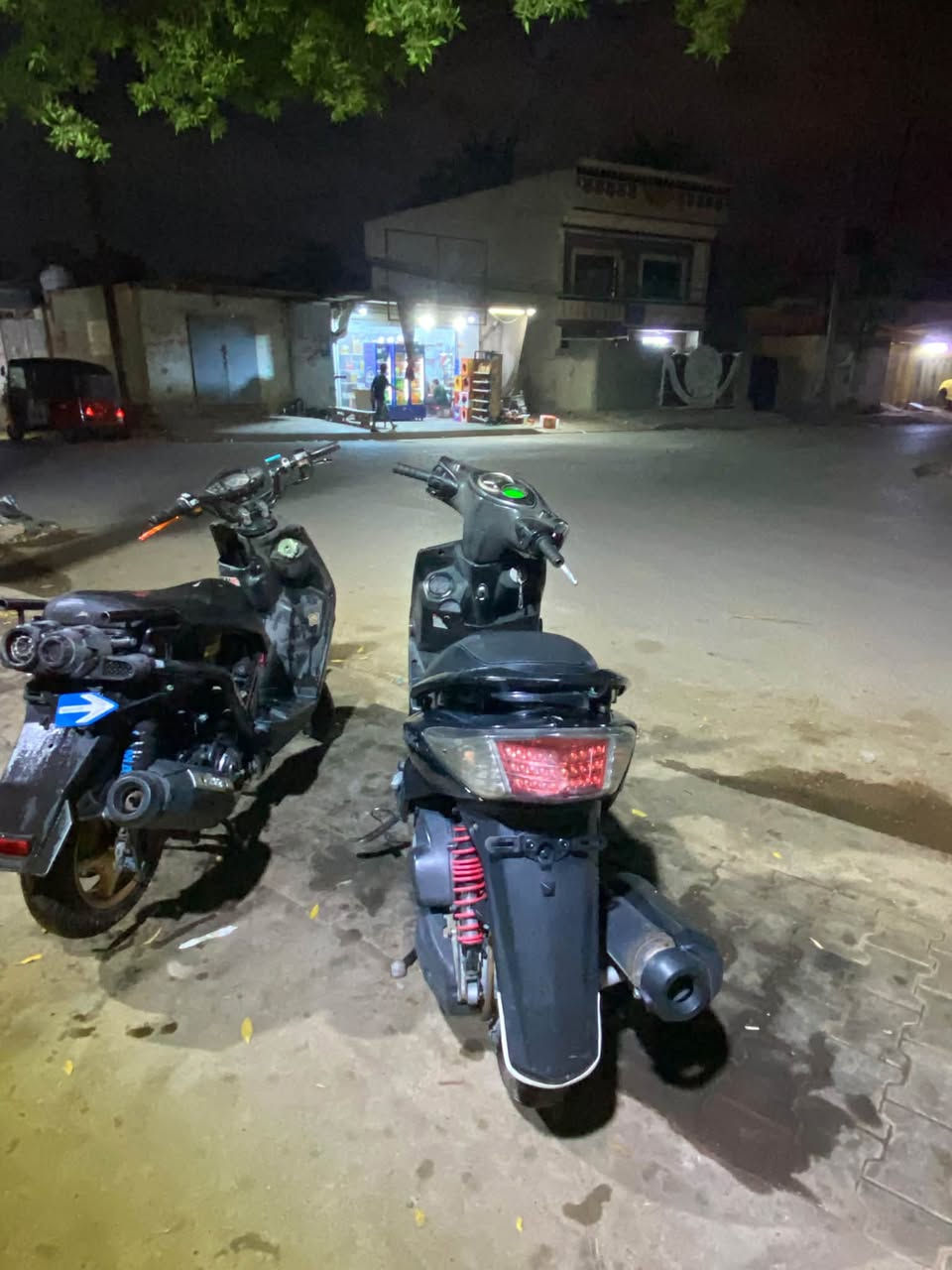 فحل • مراوس • جزيره السياحه