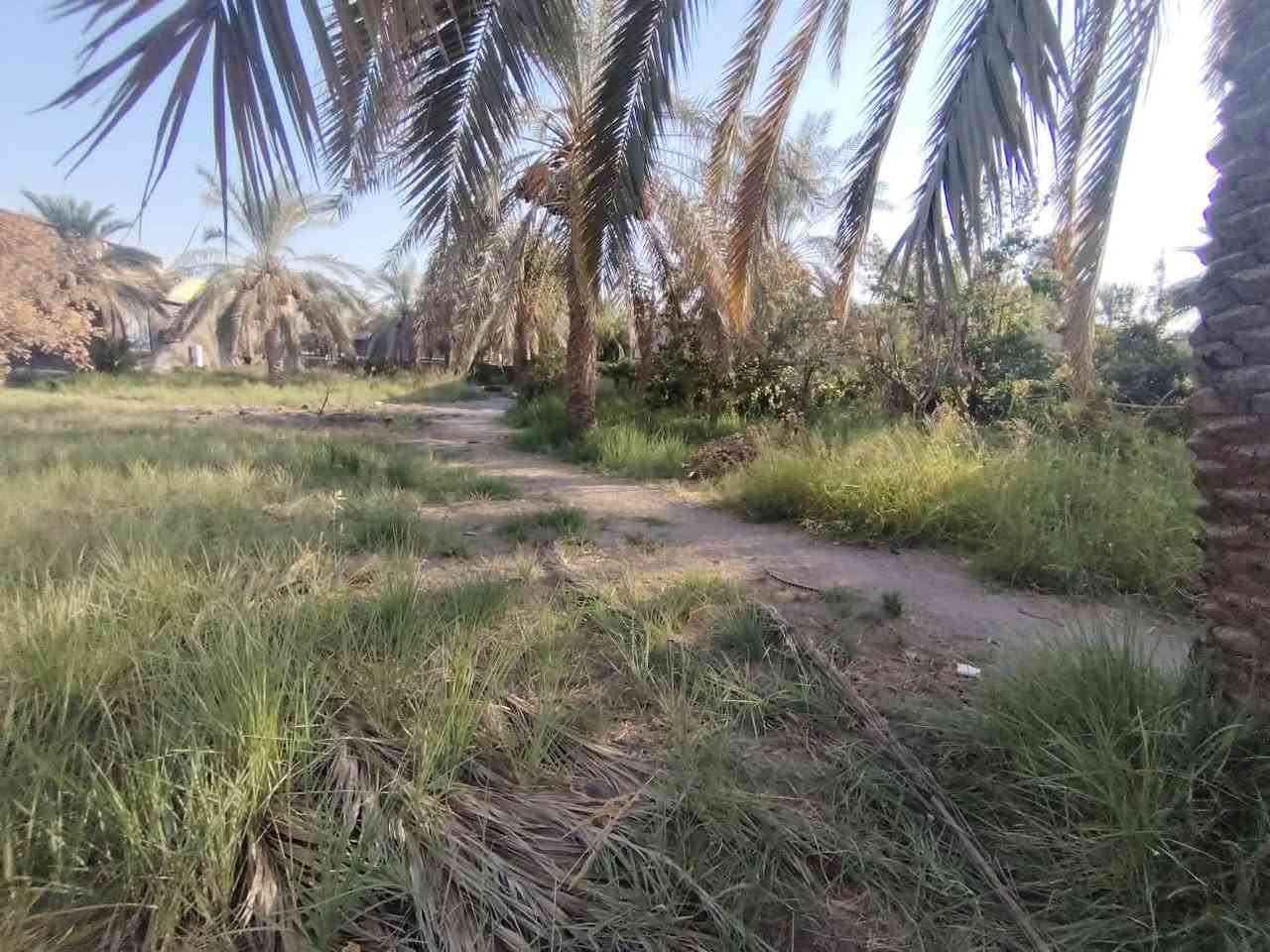 السلام عليكم قطعة ارض مساحة ٤٨٠٠ متر سند ٢٥ بإسمي بواجهة ٦٠ ونزال ٨٠  الموقع السياحي قرب الامام الحسن تبعد عن شارع التبليط ٨٠ متر متوفره كافة الخدمات ماء كهرباء مدارس ابتدائية ومتوسطة السعر ٢٥٠ مليون قابل للتفاوض للاتصال رقم صاحب القطعة *********** #ملاحضة مكلف بالنشر !!
