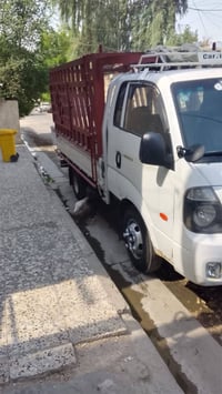 فحل مسكر • نظيفه • بغداد