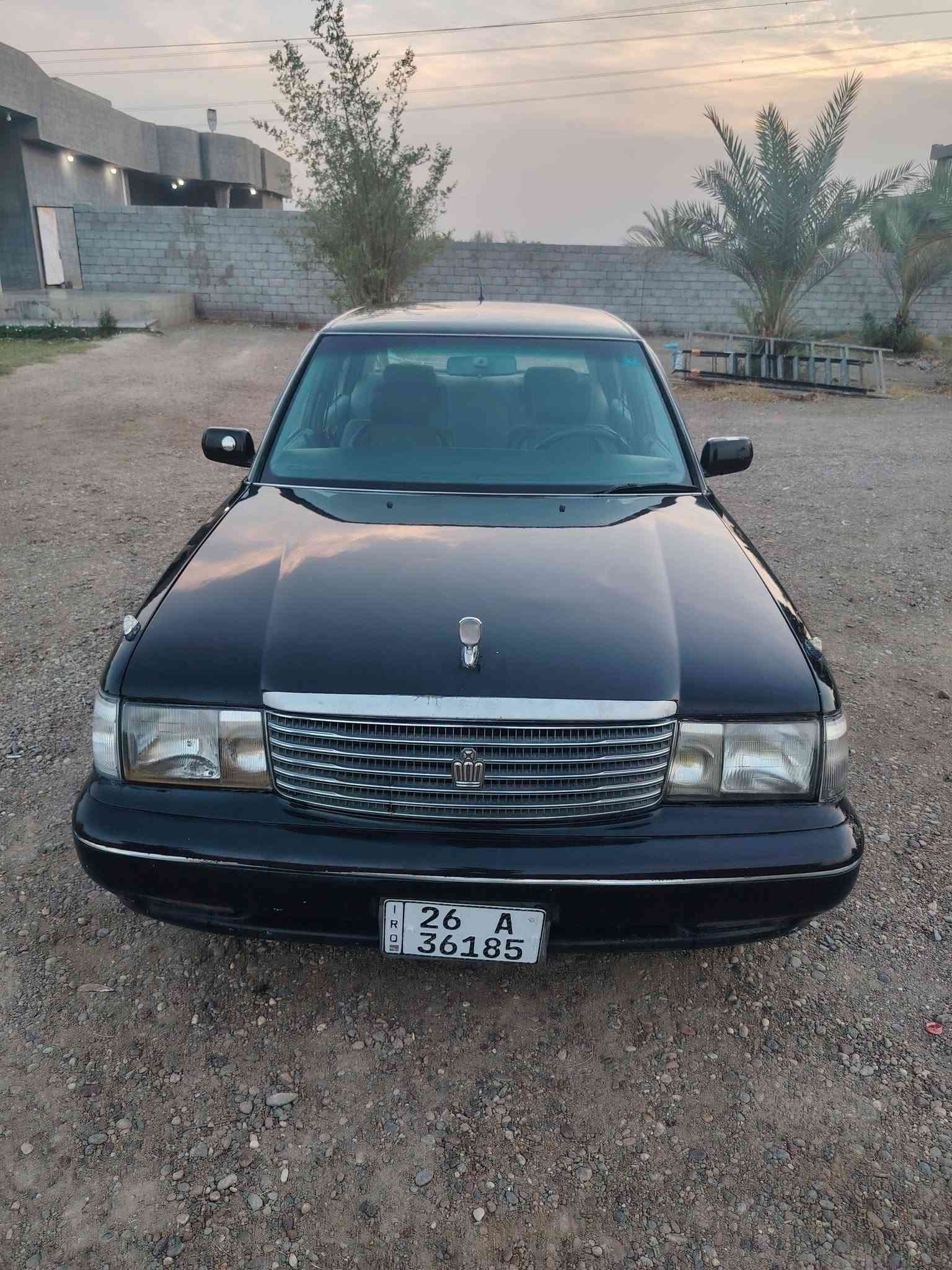 أرنب • ١٩٩٢ • بدون حادث