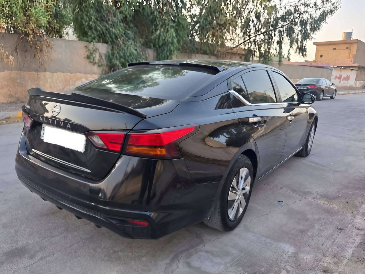 التيما • ٢٠٢٤ • رقم اربيل