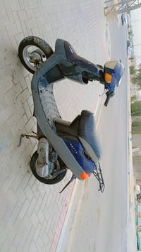 بطه • كربلاء