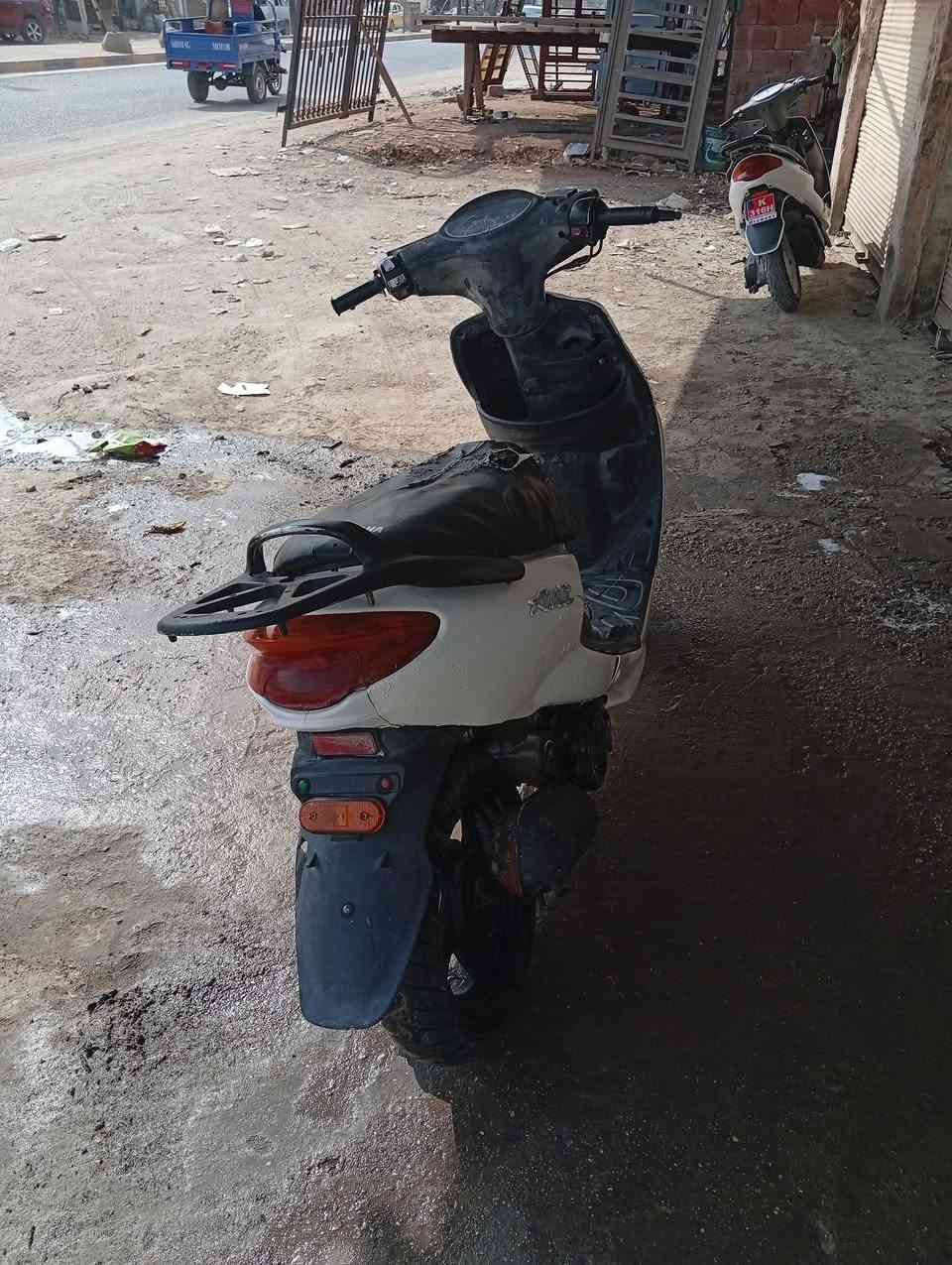 اكزز • شغاله • بريكات