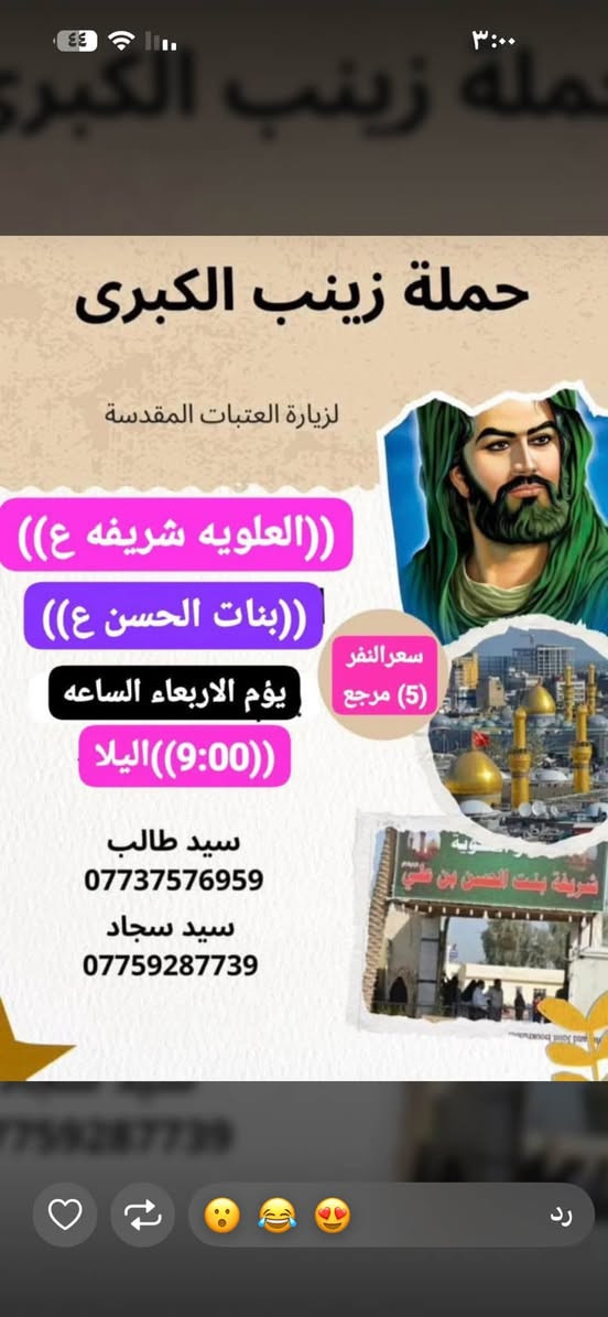 حملة زينب الكبرى • زيارات الأربعاء • كربلاء