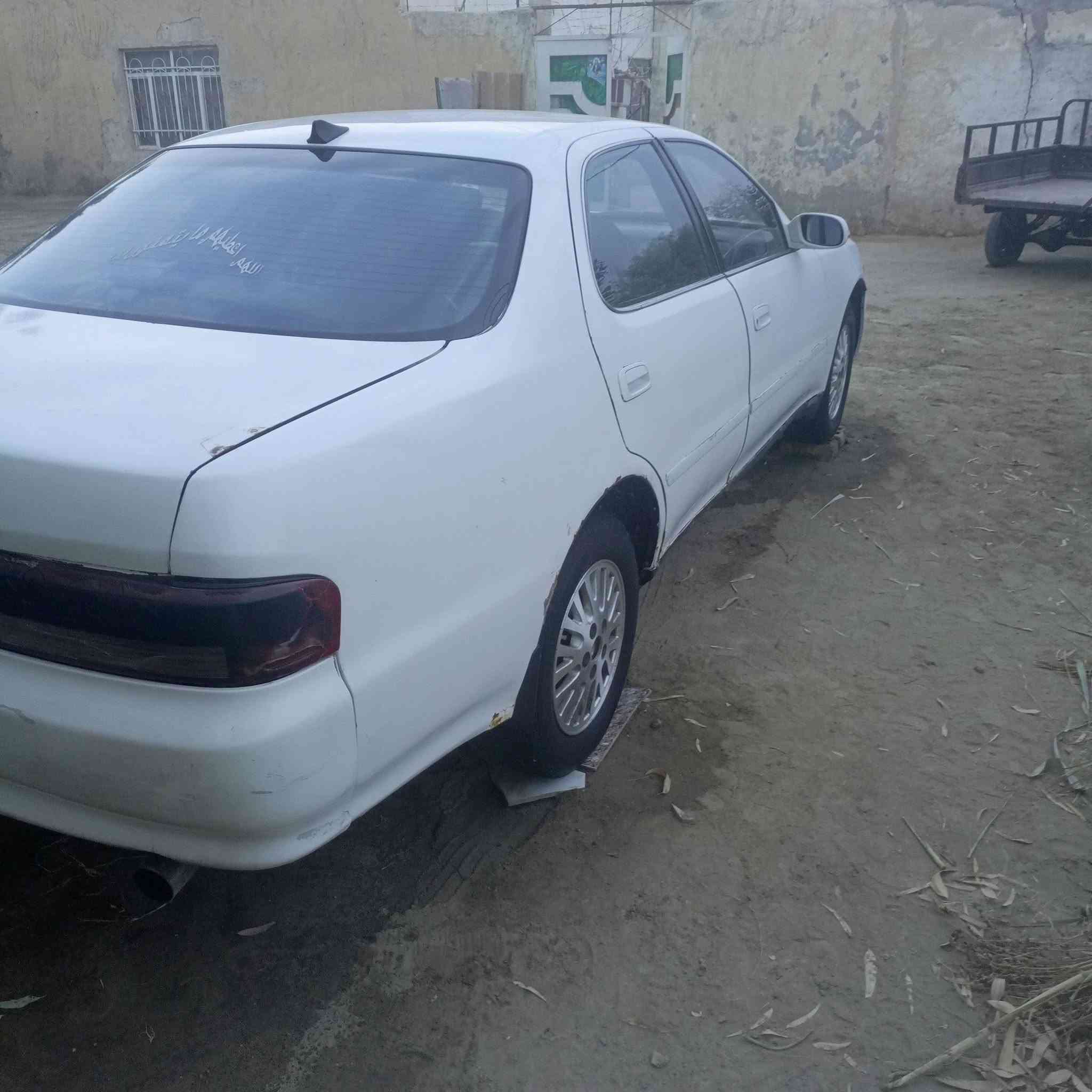 مارك • مكفوله • جاهزه