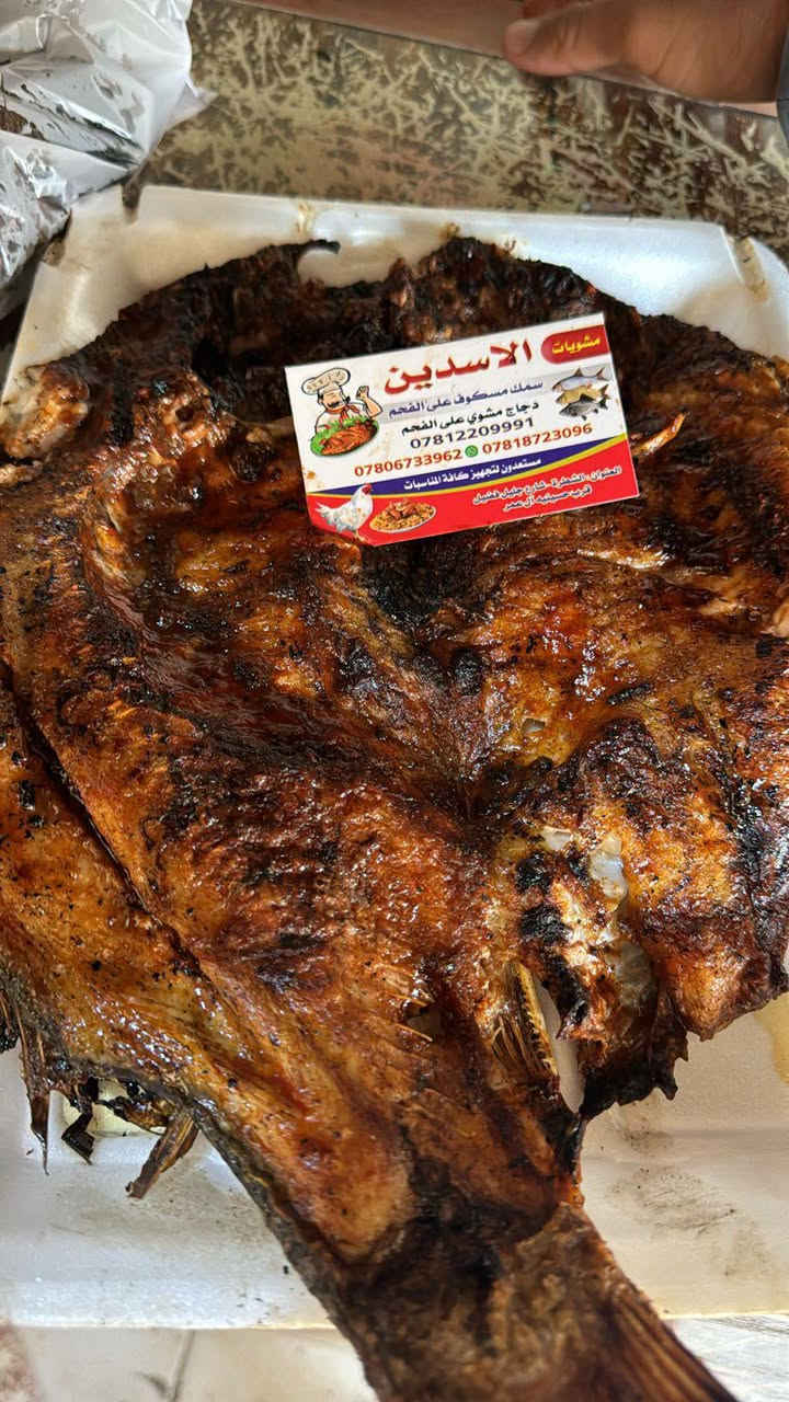 سمك مسگوف • حجز واتساب • متوفر