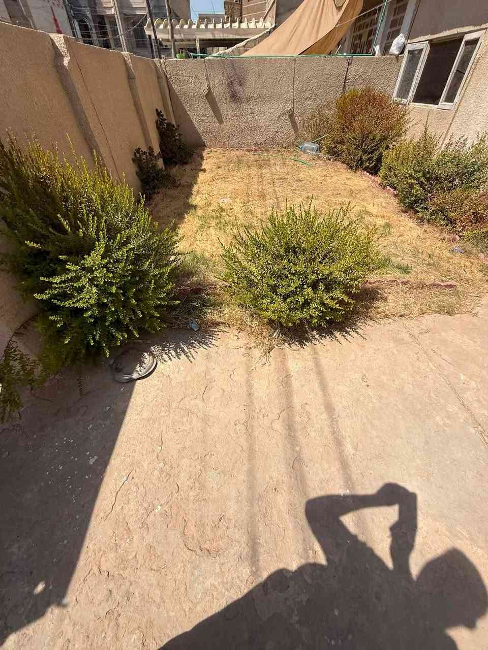 للايجار _في_السيدية

بيت مساحة200m

طابق واحد

📍السيدية مربع التصنيع

يحتوي على غرف نوم (3) وصالة ومطبخ وخدمات٢ 

كراج وحديقة 

قيمة الايجار:مليون 

للاستفسار/

رافدين الخير للوساطة العقارية في السيدية

السيدية_شارع العلوة_مجاور مطعم سماش 

***********
