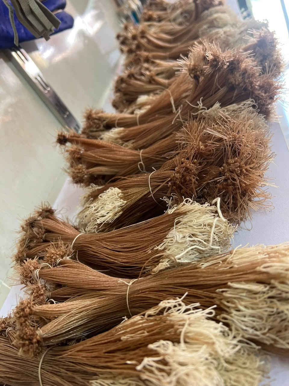 📣يعلن مكتب الصقر بأدارة ناظم الخفاجي عن وصول وجبه جديدة
 من مستلزمات الصيد.جديد نكل شكل الجربوع
بشرى ساره .
   الى جميع الصقارين ومحلات الصيد في العراق .🦅.
 تخفيضات،   تخفيضات،   تخفيضات،
  درك  بانواعه جمله السعر الف دينار فقط مفرد الف وربع 
  نكل بأنواعه  ١٥٠٠ دينار فقط درك عراقي واير سعره 4
العنوان: النجف الاشرف . خان المخضر القديم.
 الخان سنتر متعدد الطوابق قرب علوة السمك.
يوجد توصيل الى كافه أنحاء العراق وكردستان 
 اجور التوصيل 5 الف فقط .🚕🌎
للاستفسار مراسلة الوتساب فقط
📞واتساب  ***********…***********
علمآ توجد اسعار مدعومه للجمله واصحاب المحلات

