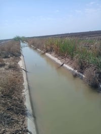 للإستثمار ٢٠٠ دونم مستصلحه صالحه لزراعة الحنطه ارض خصبه مكروبه ومعدله ...