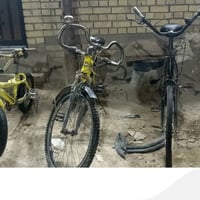 كامون 20 برو • موبايل • كاميرا