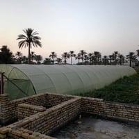 بيت بلاستيكي الطول ٥٦ والعرض ٩ اردني مغلون للبيع السعر مليونين ونص الت...