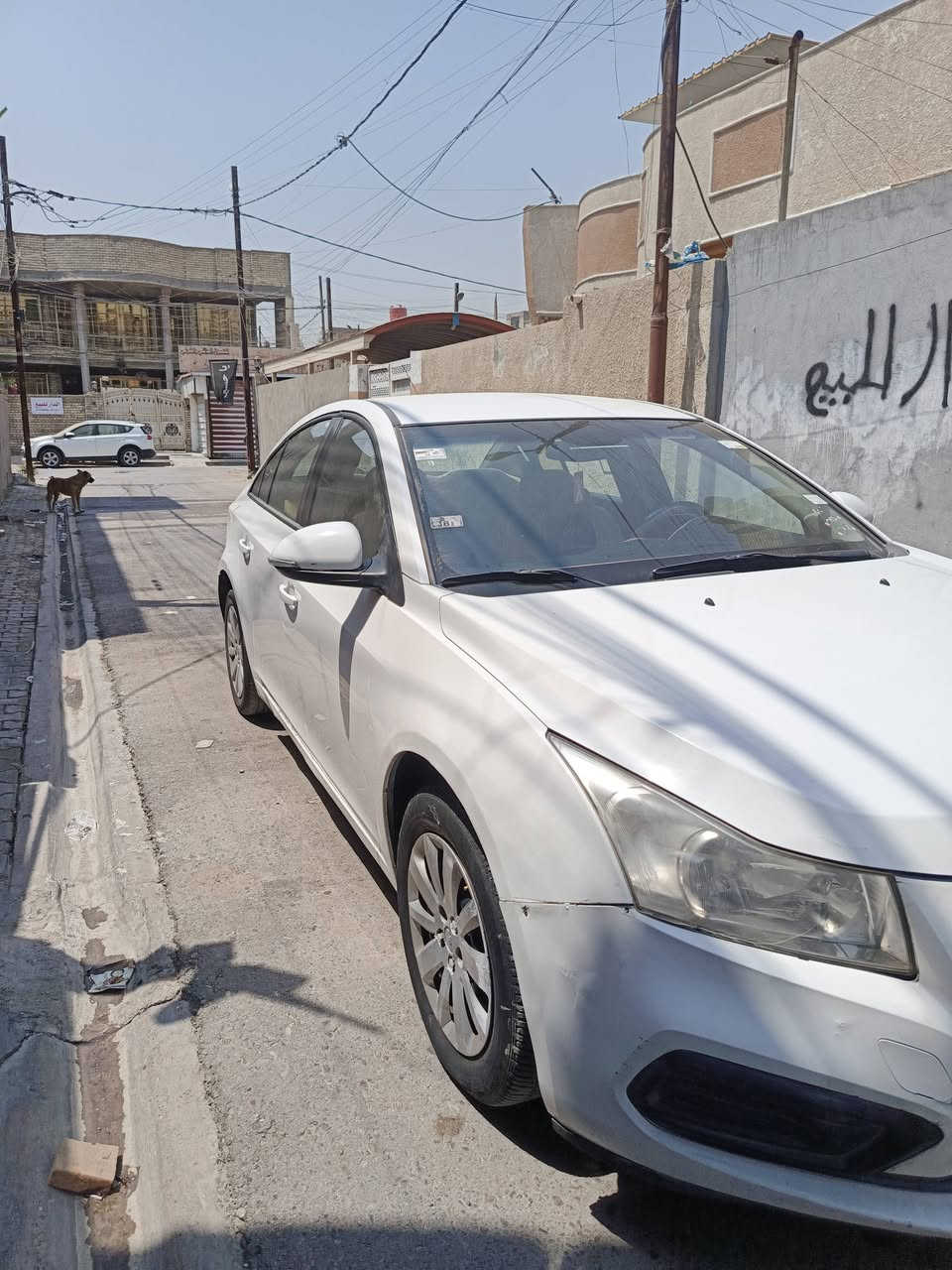 كروز خليجي 2016 بسم عربي بيها جاملغ لامامي مصبوغ فقط العنوان بغداد الكمالية السعر 83 وبيها مجال رقم الهاتف ***********
