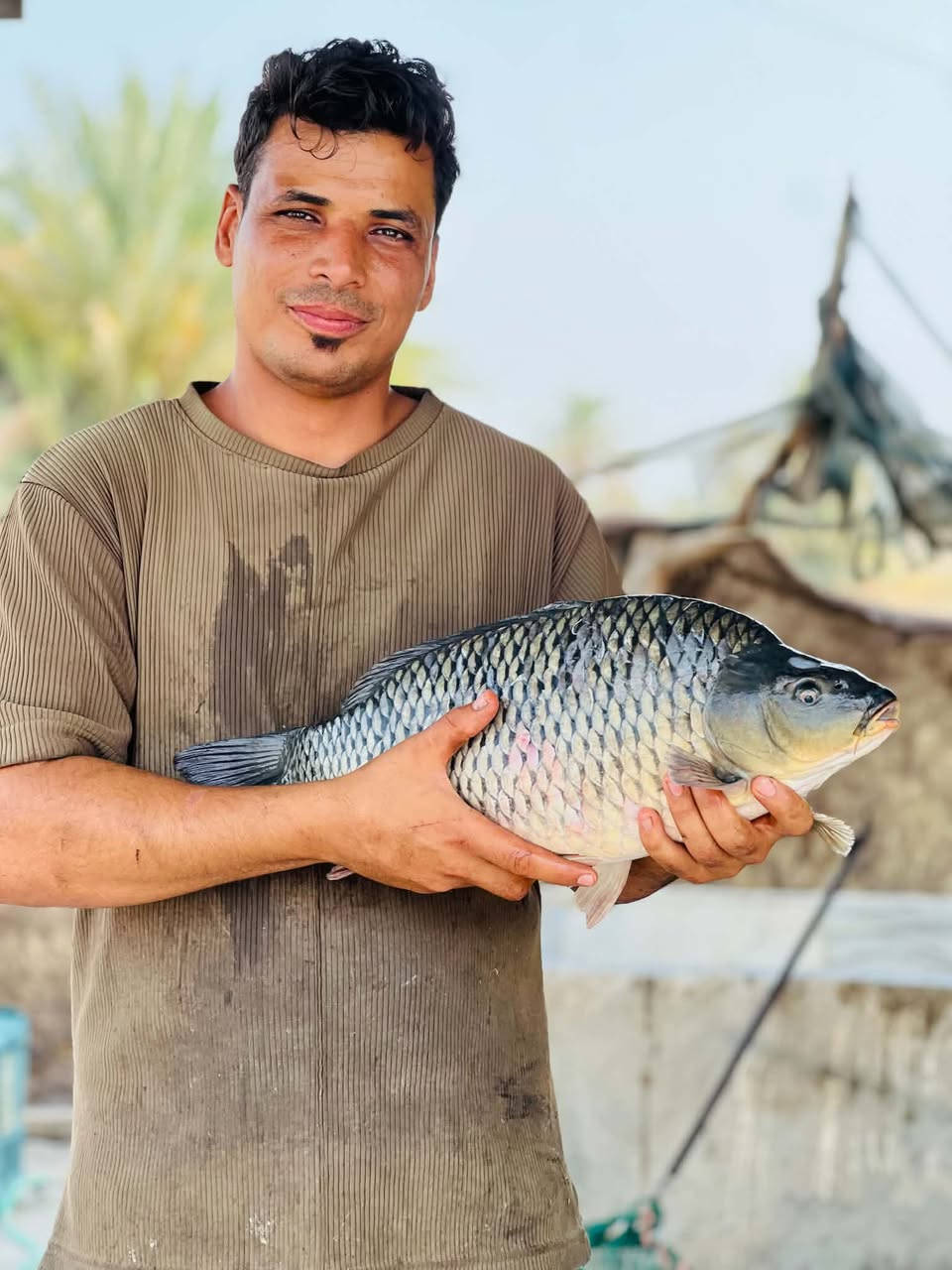 سمج اسود • شوي مندي • توصيل ابي غرق